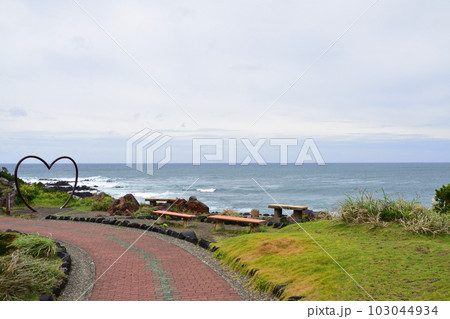 鹿児島県指宿市長崎鼻とその周辺の風景 103044934