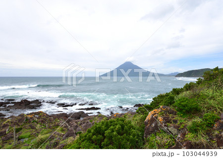 鹿児島県指宿市長崎鼻とその周辺の風景 103044939
