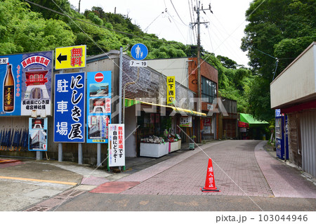 鹿児島県指宿市長崎鼻とその周辺の風景 103044946