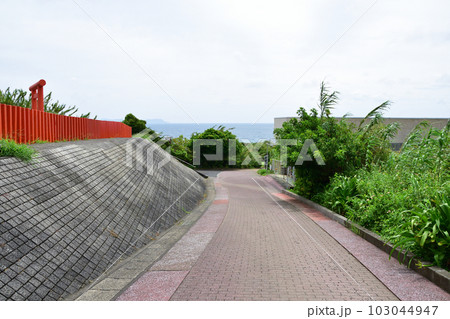鹿児島県指宿市長崎鼻とその周辺の風景 103044947