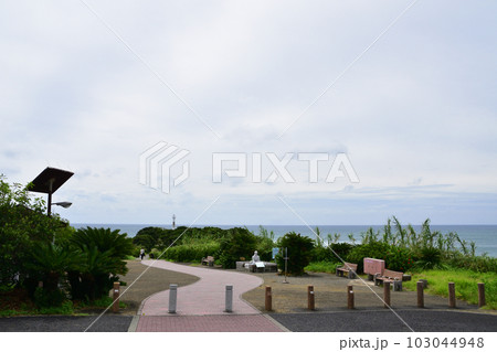 鹿児島県指宿市長崎鼻とその周辺の風景 103044948
