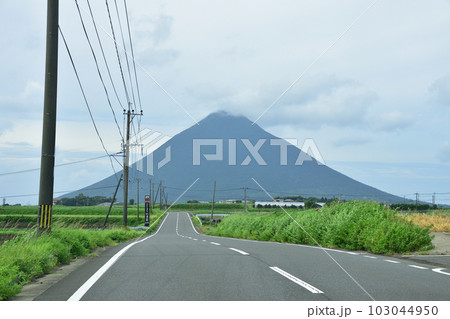 鹿児島県指宿市長崎鼻とその周辺の風景 103044950