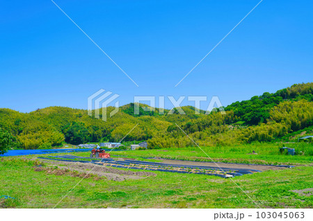 【大阪府】6月・高齢化が進む農業、トラクターで農作業をする高齢者 103045063