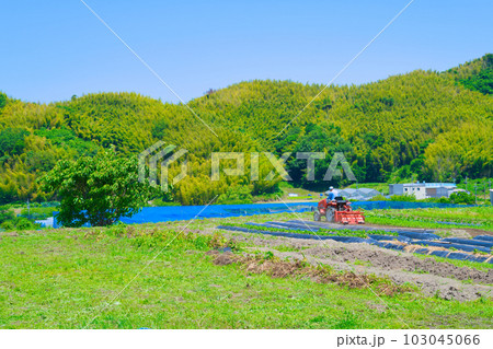 【大阪府】6月・高齢化が進む農業、トラクターで農作業をする高齢者 【大阪府】6月・高齢化が進む農業、トラクターで農作業をする高齢者 103045066