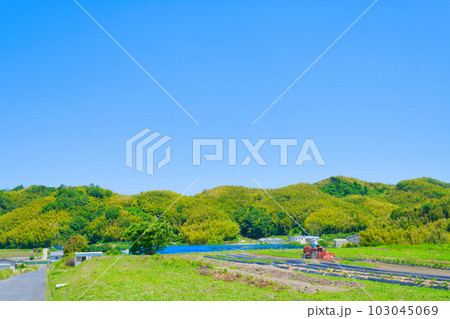 【大阪府】6月・高齢化が進む農業、トラクターで農作業をする高齢者 【大阪府】6月・高齢化が進む農業、トラクターで農作業をする高齢者 103045069