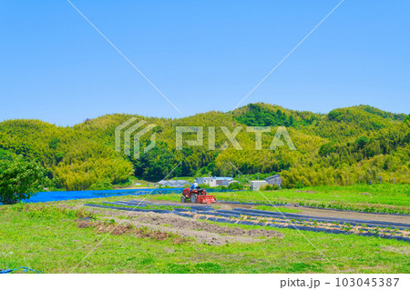 【大阪府】6月・高齢化が進む農業、トラクターで農作業をする高齢者 【大阪府】6月・高齢化が進む農業、トラクターで農作業をする高齢者 103045387