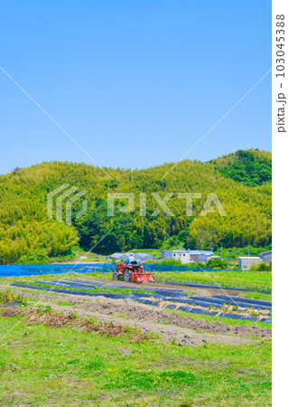 【大阪府】6月・高齢化が進む農業、トラクターで農作業をする高齢者 103045388