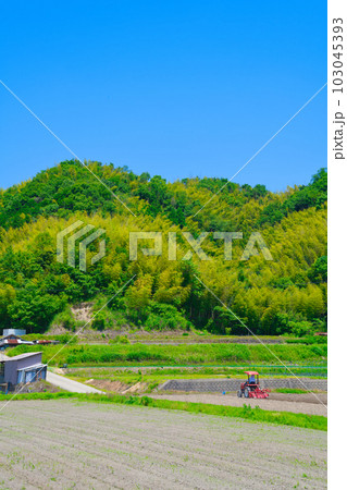【大阪府】6月・高齢化が進む農業、トラクターで農作業をする高齢者 103045393