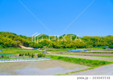 【大阪府】6月・高齢化が進む農業、トラクターで農作業をする高齢者 【大阪府】6月・高齢化が進む農業、トラクターで農作業をする高齢者 103045538