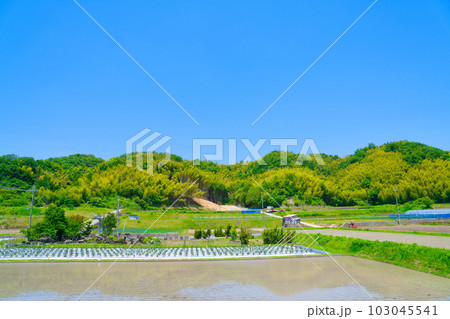 【大阪府】6月・高齢化が進む農業、トラクターで農作業をする高齢者 103045541