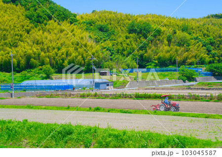 【大阪府】6月・高齢化が進む農業、トラクターで農作業をする高齢者 【大阪府】6月・高齢化が進む農業、トラクターで農作業をする高齢者 103045587