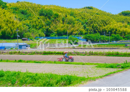 【大阪府】6月・高齢化が進む農業、トラクターで農作業をする高齢者 【大阪府】6月・高齢化が進む農業、トラクターで農作業をする高齢者 103045588