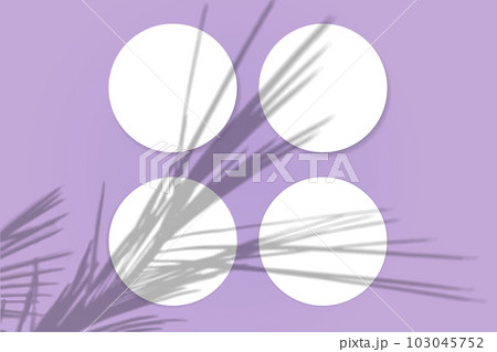 Natural light casts shadows from the palm branch on 4 round sheets of white paper lying on a pink textured background. Mockup 103045752
