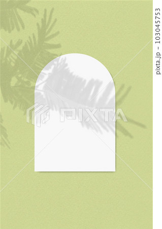 An arch-shaped sheet of white textured paper on a green wall background. Overlay a layout with plant shadows. Natural light casts shadows from a tui branch 103045753