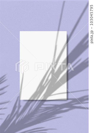 A vertical A4 sheet of white paper on the soft violet wall background. Mockup overlay with the plant shadows. Natural light casts shadows from a palm branche 103045795