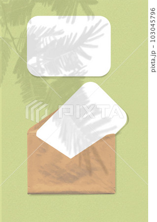 An envelope with two sheets of white paper on green background. Mock up with an overlay of plant shadows. Natural light casts shadows from the tui branch. Vertical orientation 103045796