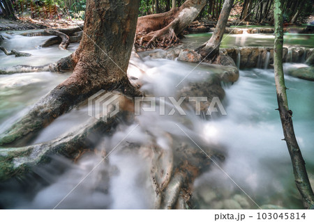 Hot Springs Onsen Natural Bath is Surrounded by red-yellow leaves. In fall leaves, Waterfall among many foliages, In fall leaves Leaf color change . 103045814