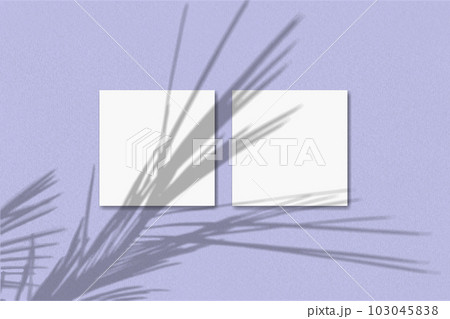 Natural light casts shadows from the palm branch on 2 square sheets of white textured paper lying on violet textured background. Mockup 103045838