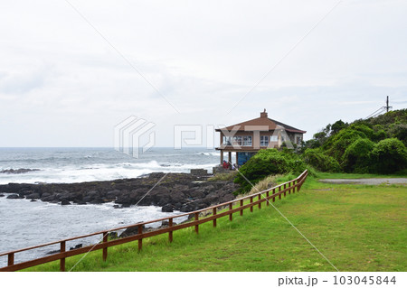 鹿児島県南九州市、番所鼻自然公園の風景 103045844