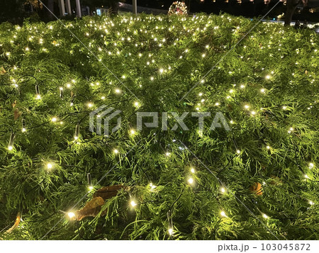 LEDイルミネーション 103045872