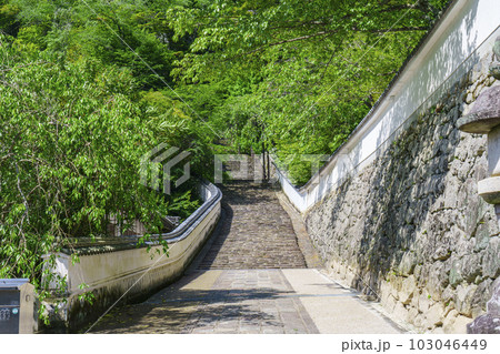 長谷寺 参道 新緑の季節(奈良県桜井市初瀬) 長谷寺 参道 新緑の季節(奈良県桜井市初瀬) 103046449