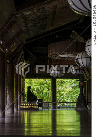 長谷寺 本堂(礼堂)から見た新緑(奈良県桜井市初瀬) 長谷寺 本堂(礼堂)から見た新緑(奈良県桜井市初瀬) 103046466