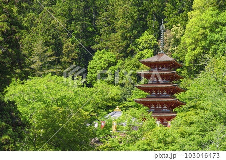 長谷寺本堂の舞台から五重塔を望む(奈良県桜井市初瀬) 長谷寺本堂の舞台から五重塔を望む(奈良県桜井市初瀬) 103046473