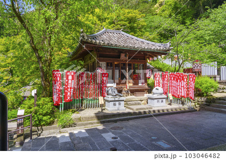 長谷寺 大黒堂 新緑の季節(奈良県桜井市初瀬) 長谷寺 大黒堂 新緑の季節(奈良県桜井市初瀬) 103046482