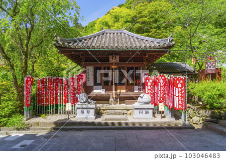 長谷寺　大黒堂　新緑の季節（奈良県桜井市初瀬） 103046483