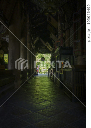 長谷寺本堂（礼堂）　石敷きの土間に映り込む新緑（奈良県桜井市初瀬） 103046499