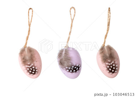 Decorative eggs with feathers isolated on white background 103046513