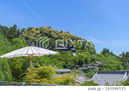 長谷寺本坊前から本堂を望む 新緑の季節(奈良県桜井市初瀬) 長谷寺本坊前から本堂を望む 新緑の季節(奈良県桜井市初瀬) 103046535