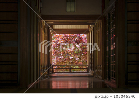 長谷寺本坊　床もみじ　リフレクション（奈良県桜井市初瀬） 103046540