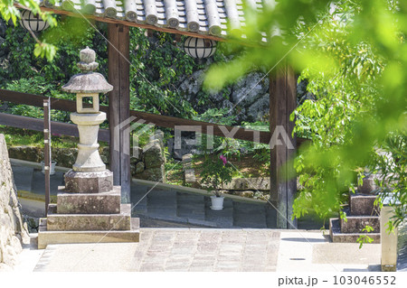 長谷寺 登廊 牡丹の花 新緑の季節(奈良県桜井市初瀬) 長谷寺 登廊 牡丹の花 新緑の季節(奈良県桜井市初瀬) 103046552