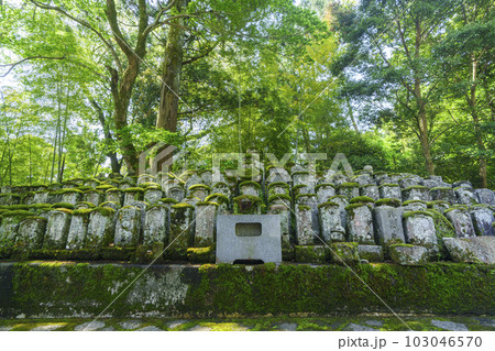 長谷寺　奥の院脇の墓群（奈良県桜井市初瀬） 103046570