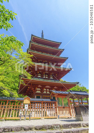 長谷寺　五重塔　新緑の季節（奈良県桜井市初瀬） 103046581