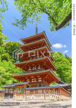 長谷寺 五重塔 新緑の季節(奈良県桜井市初瀬) 長谷寺 五重塔 新緑の季節(奈良県桜井市初瀬) 103046585