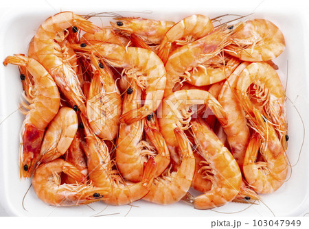 Boiled fresh prawns on white background Boiled fresh prawns on white background 103047949