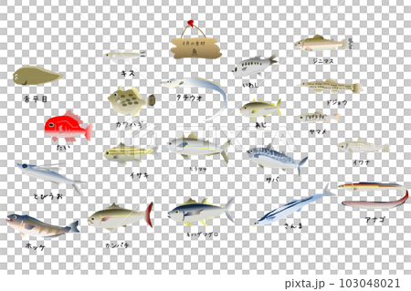 時令魚（八月）可愛插畫集 103048021