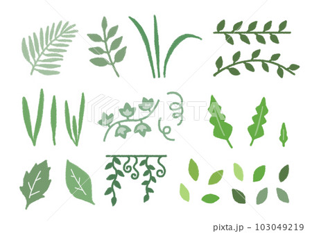 手描きの葉っぱイラストのイラスト素材 [103049219] - PIXTA
