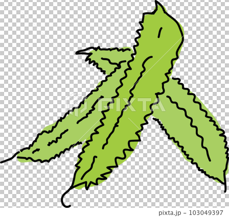 Urizun beans illustration 103049397