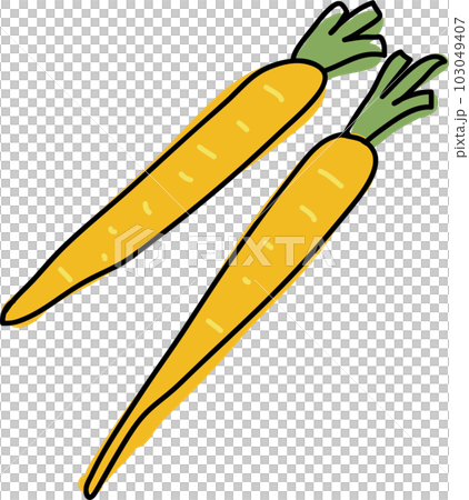 島胡蘿蔔插畫 島胡蘿蔔插畫 103049407