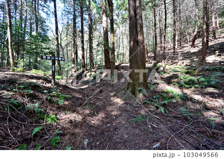 竹中半兵衛の美濃「菩提山城」 遺構と廓群 竹中半兵衛の美濃「菩提山城」 遺構と廓群 103049566