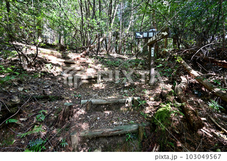 竹中半兵衛の美濃「菩提山城」 遺構と廓群 竹中半兵衛の美濃「菩提山城」 遺構と廓群 103049567