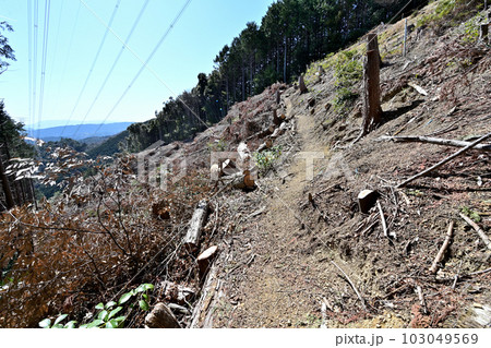 竹中半兵衛の美濃「菩提山城」 遺構と廓群 竹中半兵衛の美濃「菩提山城」 遺構と廓群 103049569
