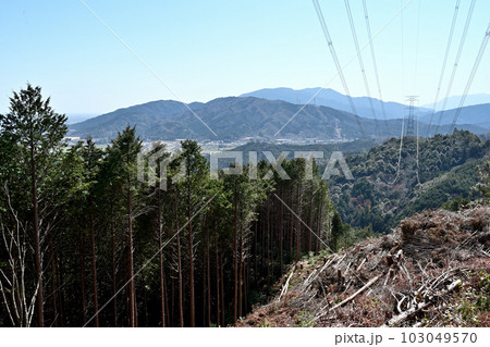 竹中半兵衛の美濃「菩提山城」　遺構と廓群 103049570