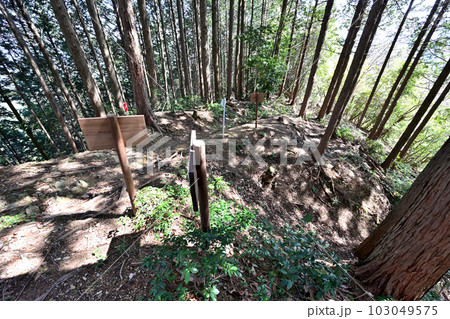 竹中半兵衛の美濃「菩提山城」　遺構と廓群 103049575
