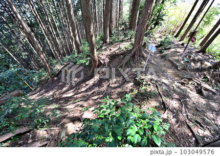 竹中半兵衛の美濃「菩提山城」　遺構と廓群 103049576