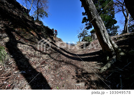 竹中半兵衛の美濃「菩提山城」　遺構と廓群 103049578