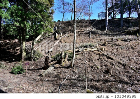 竹中半兵衛の美濃「菩提山城」　遺構と廓群 103049599